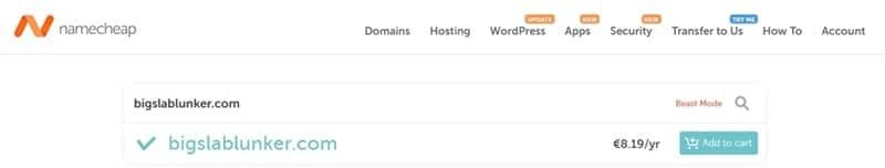 check namecheap for domain availability